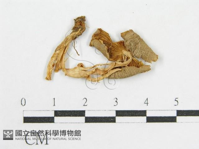 登錄號:F0007446藏品圖，第3張