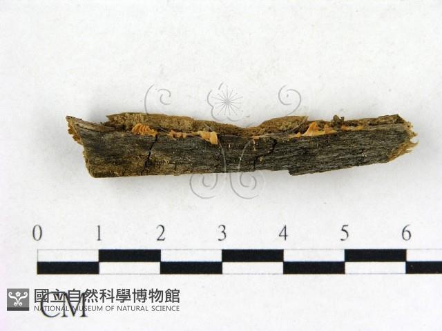 登錄號:F0001746藏品圖，第3張
