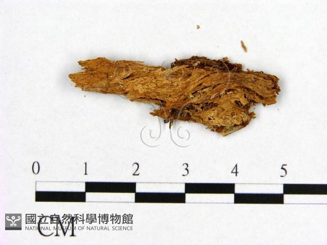 登錄號:F0006546藏品圖，第3張