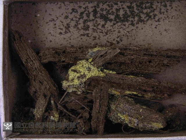 登錄號:F0021546藏品圖，第3張