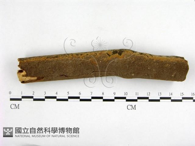 登錄號:F0001546藏品圖，第1張