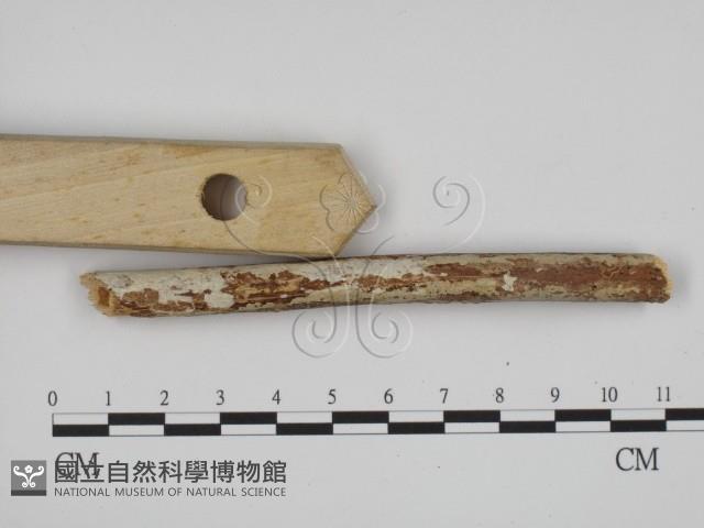 登錄號:F0002546藏品圖，第3張