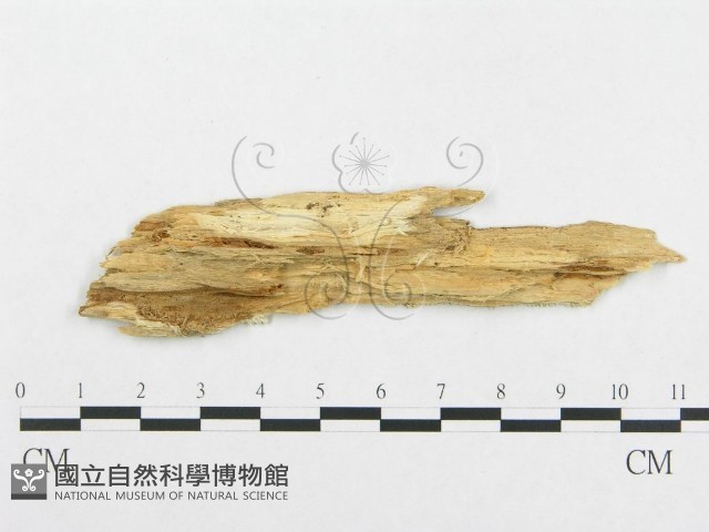 登錄號:F0008146藏品圖，第3張