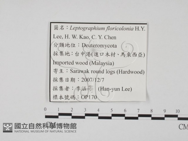登錄號:F0022146藏品圖，第3張