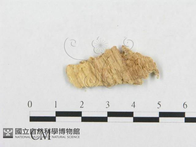 登錄號:F0007146藏品圖，第3張