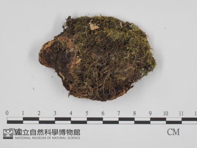 登錄號:F0014046藏品圖，第3張