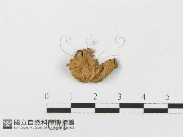 登錄號:F0012046藏品圖，第3張