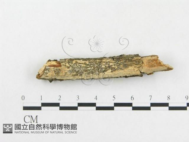 登錄號:F0005046藏品圖，第3張