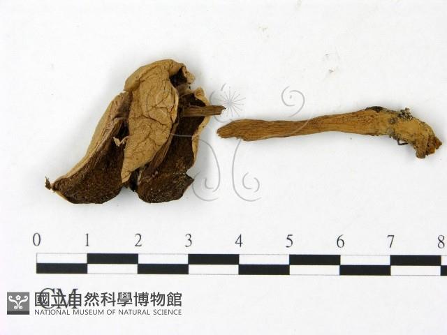 登錄號:F0023046藏品圖，第3張