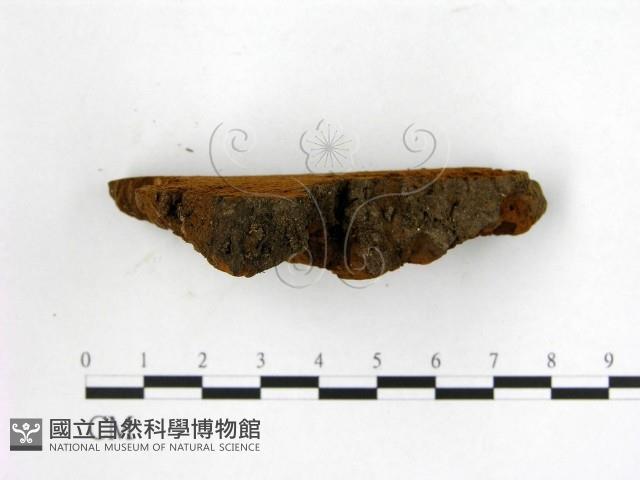 登錄號:F0006236藏品圖，第3張