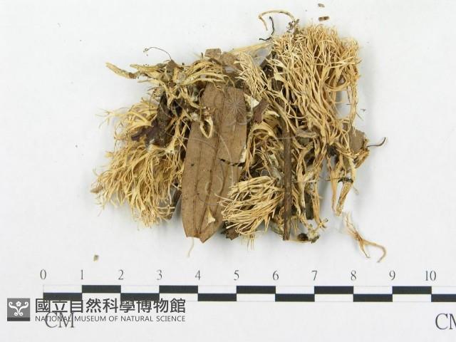 登錄號:F0016236藏品圖，第3張