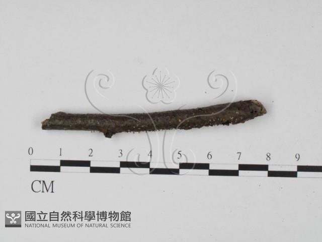 登錄號:F0015236藏品圖，第3張