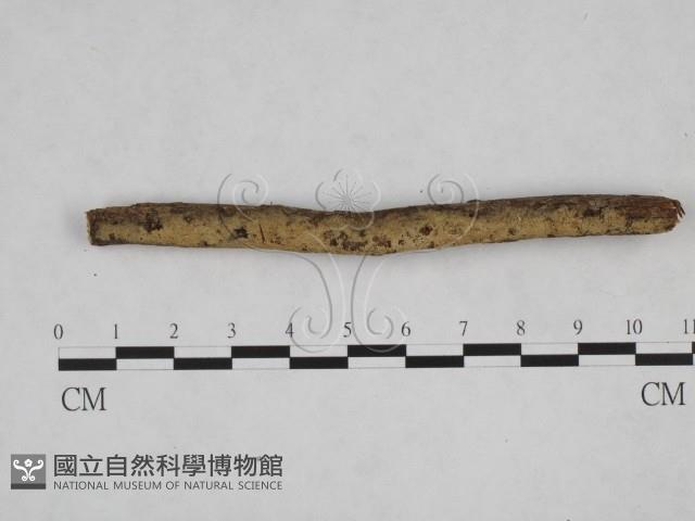 登錄號:F0024836藏品圖，第3張