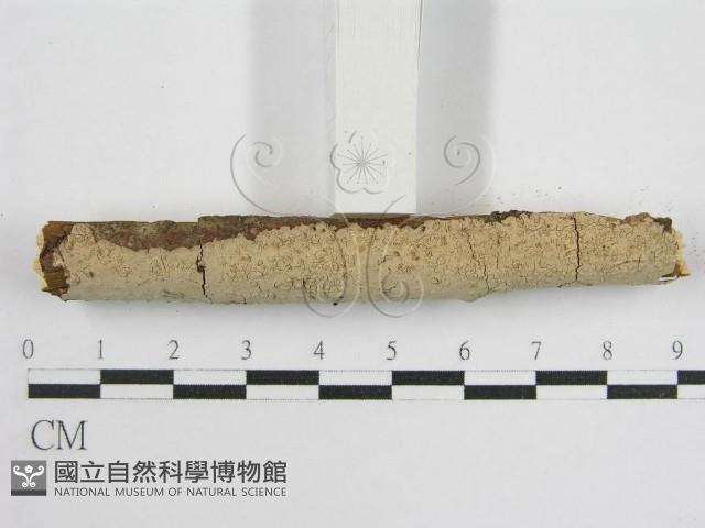 登錄號:F0012836藏品圖，第3張