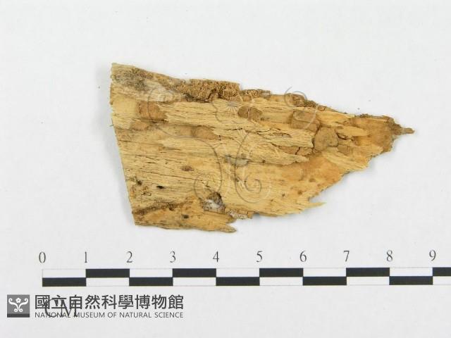 登錄號:F0016936藏品圖，第3張