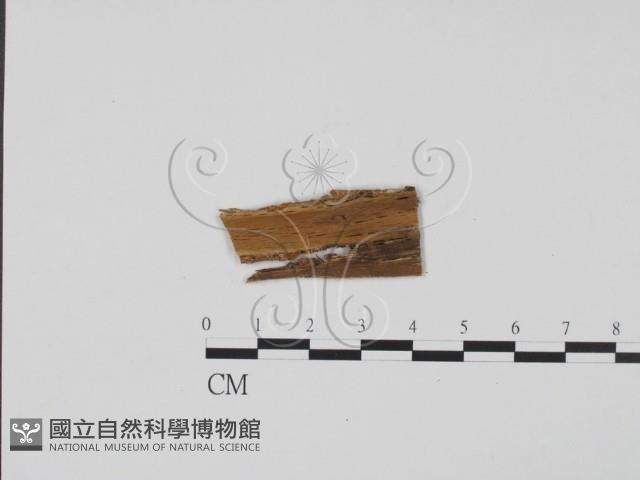 登錄號:F0011736藏品圖，第3張