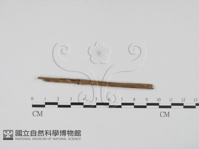 登錄號:F0011536藏品圖，第3張