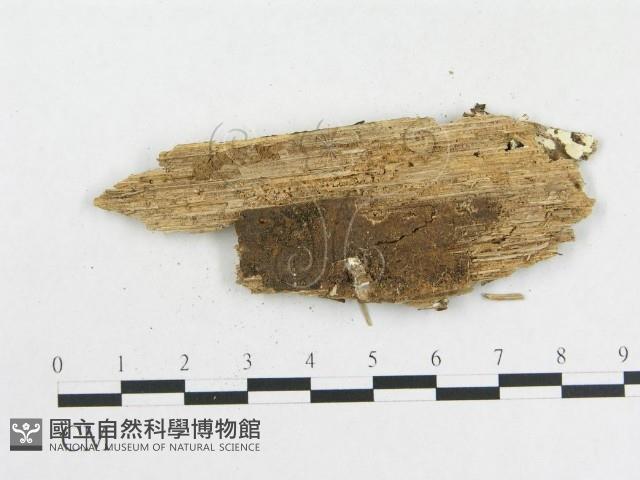 登錄號:F0002536藏品圖，第3張