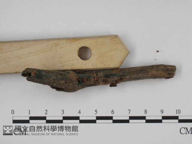 登錄號:F0004136藏品圖，第3張