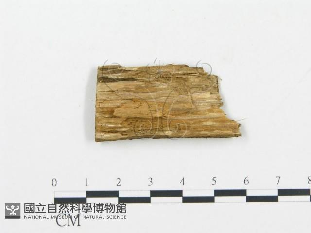 登錄號:F0006036藏品圖，第3張