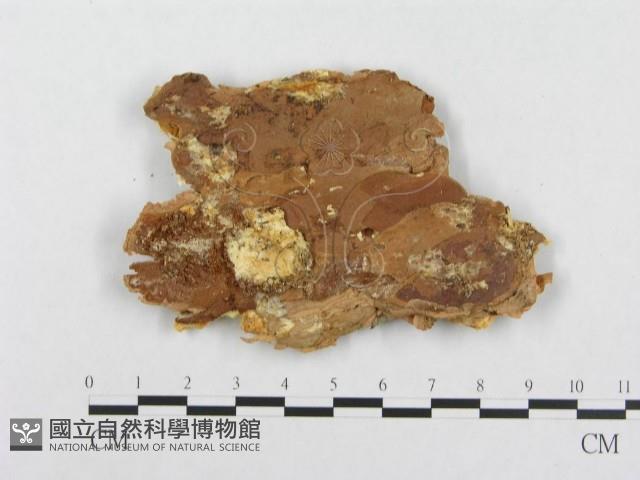 登錄號:F0014036藏品圖，第3張