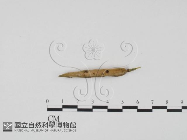 登錄號:F0012276藏品圖，第3張