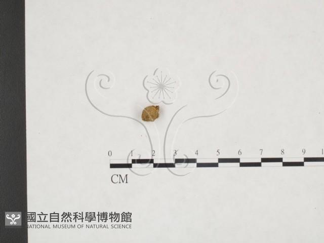 登錄號:F0025876藏品圖，第3張
