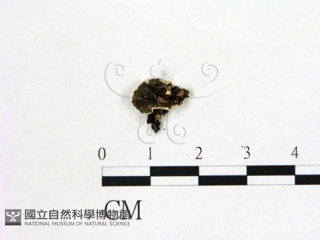 登錄號:F0003876藏品圖，第3張