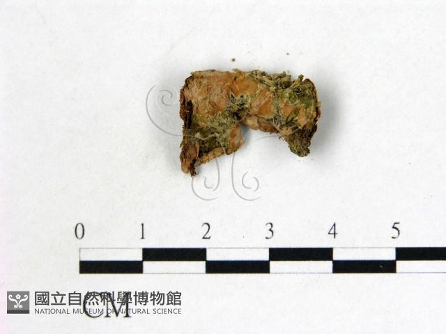 登錄號:F0008976藏品圖，第3張
