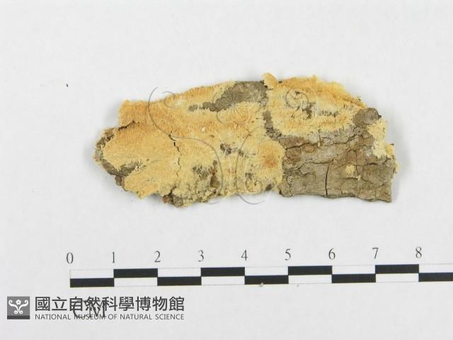 登錄號:F0000976藏品圖，第3張