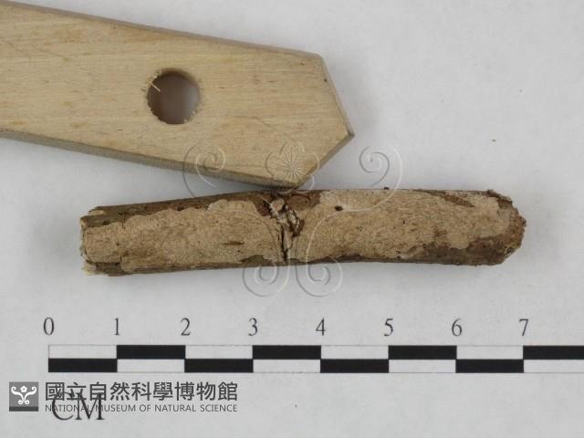 登錄號:F0024976藏品圖，第3張