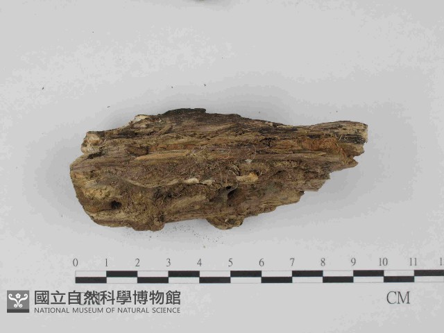 登錄號:F0014476藏品圖，第3張