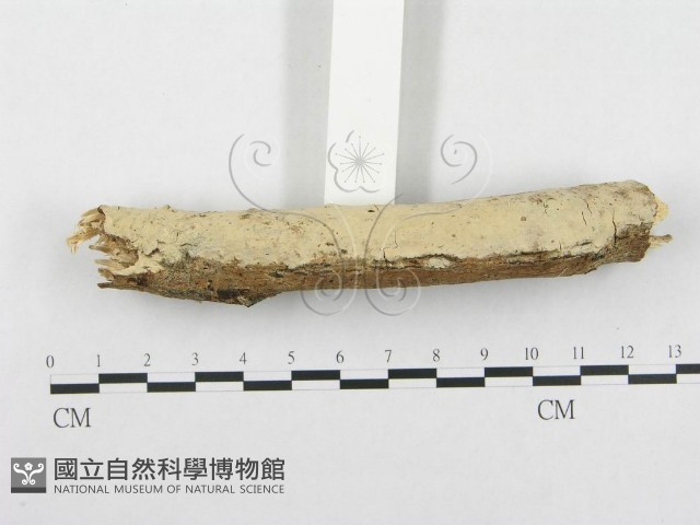 登錄號:F0002476藏品圖，第3張