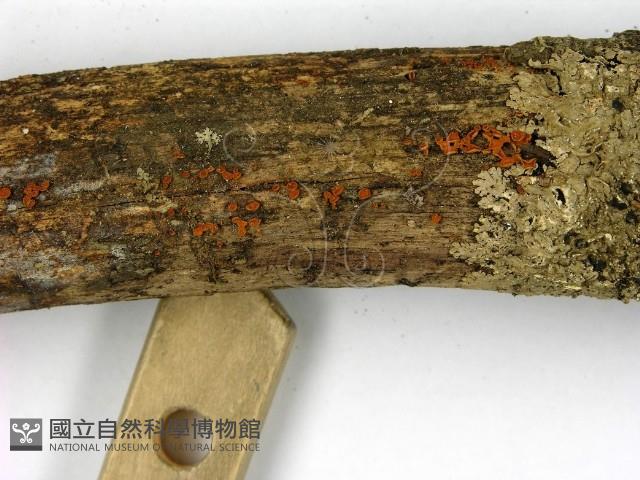 登錄號:F0002776藏品圖，第3張