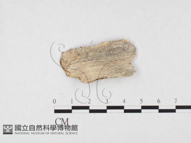 登錄號:F0026576藏品圖，第3張