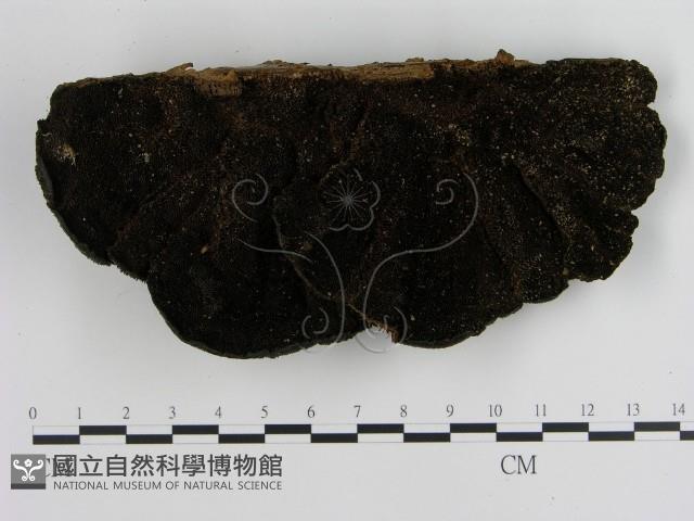 登錄號:F0012576藏品圖，第3張