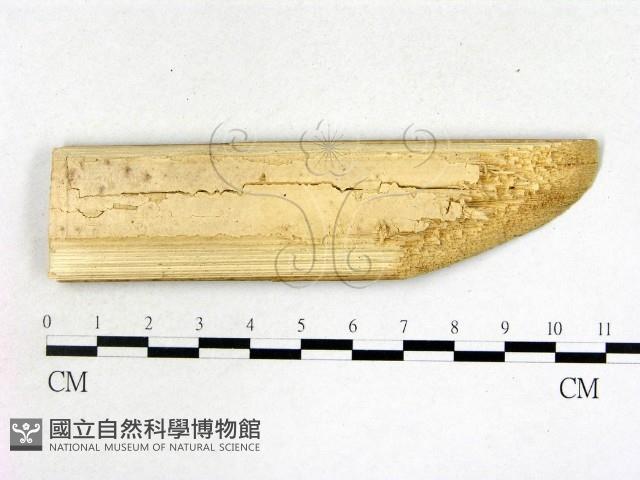登錄號:F0022176藏品圖，第3張