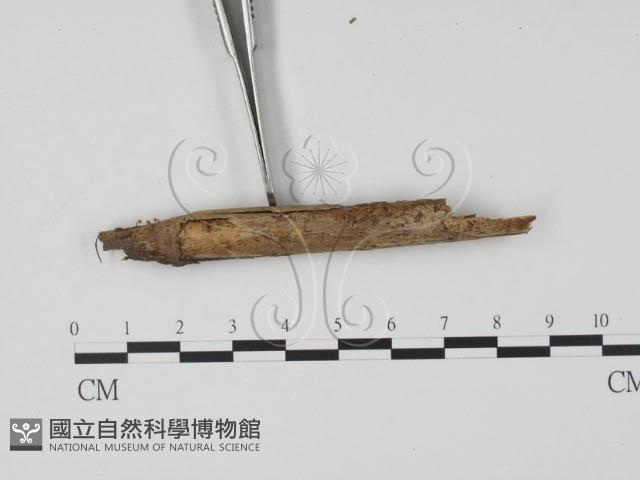 登錄號:F0020076藏品圖，第3張