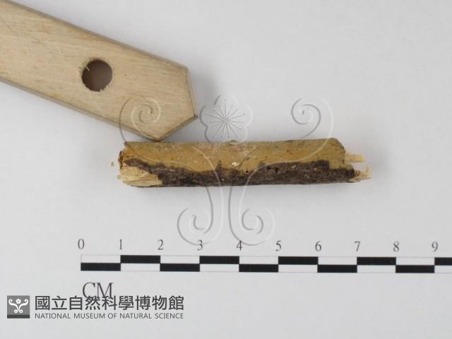 登錄號:F0000076藏品圖，第3張