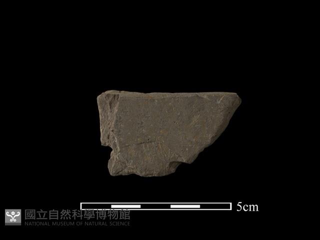 帶加工痕石材藏品圖，第1張