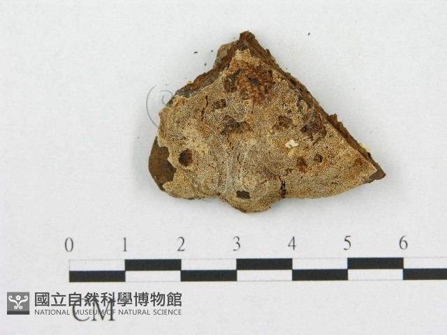 登錄號:F0007076藏品圖，第3張