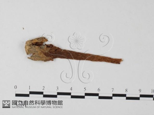 登錄號:F0023376藏品圖，第3張