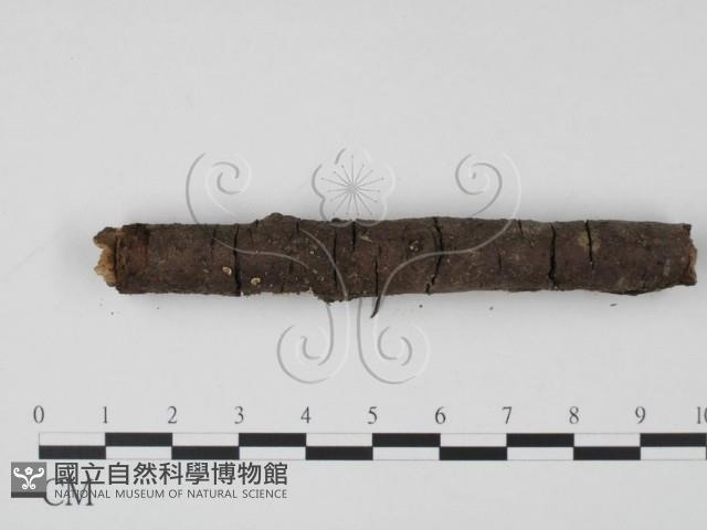 登錄號:F0012861藏品圖，第3張