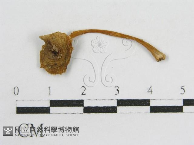 登錄號:F0015861藏品圖，第3張