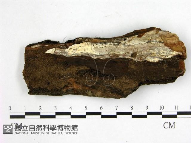 登錄號:F0020961藏品圖，第3張