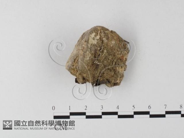 登錄號:F0023961藏品圖，第3張