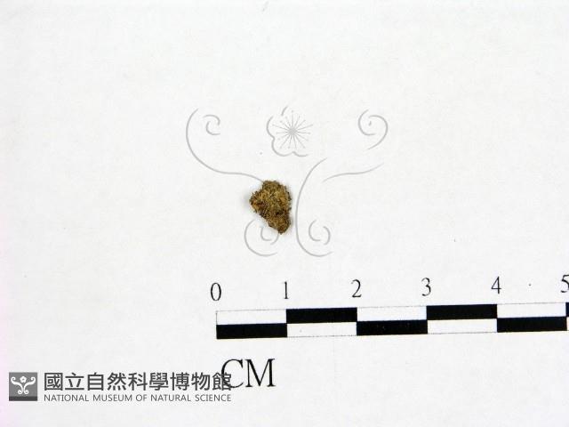 登錄號:F0001661藏品圖，第3張