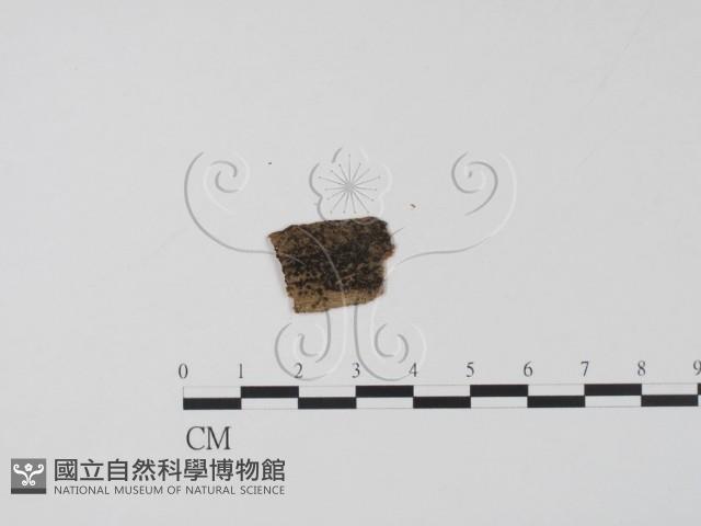 登錄號:F0011661藏品圖，第3張