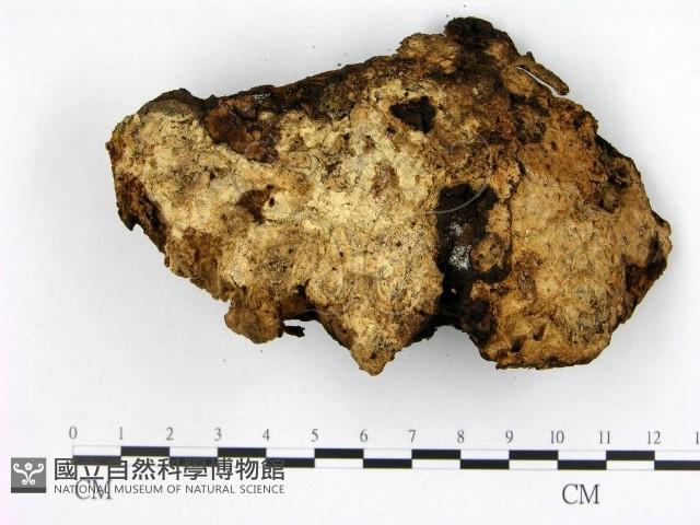 登錄號:F0015661藏品圖，第3張