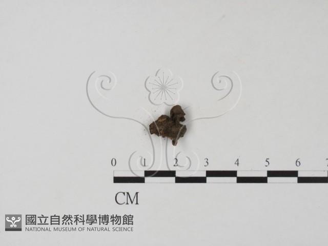 登錄號:F0019661藏品圖，第3張